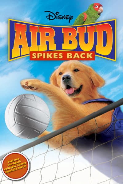 ดูหนังออนไลน์ฟรี Air Bud 5 Spikes Back (2003) ซุปเปอร์หมา ตบสะท้านคอร์ด เต็มเรื่อง